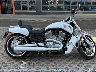 V-Rod Muscle